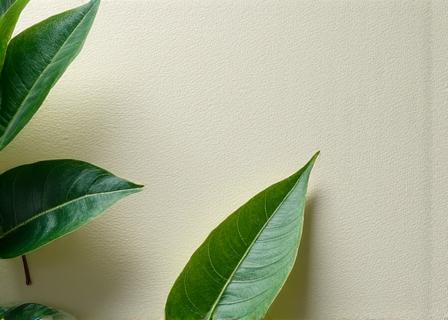 Eco-friendly and sustainable print practices Manchester